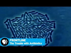 antibiotics