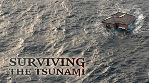 tsunami